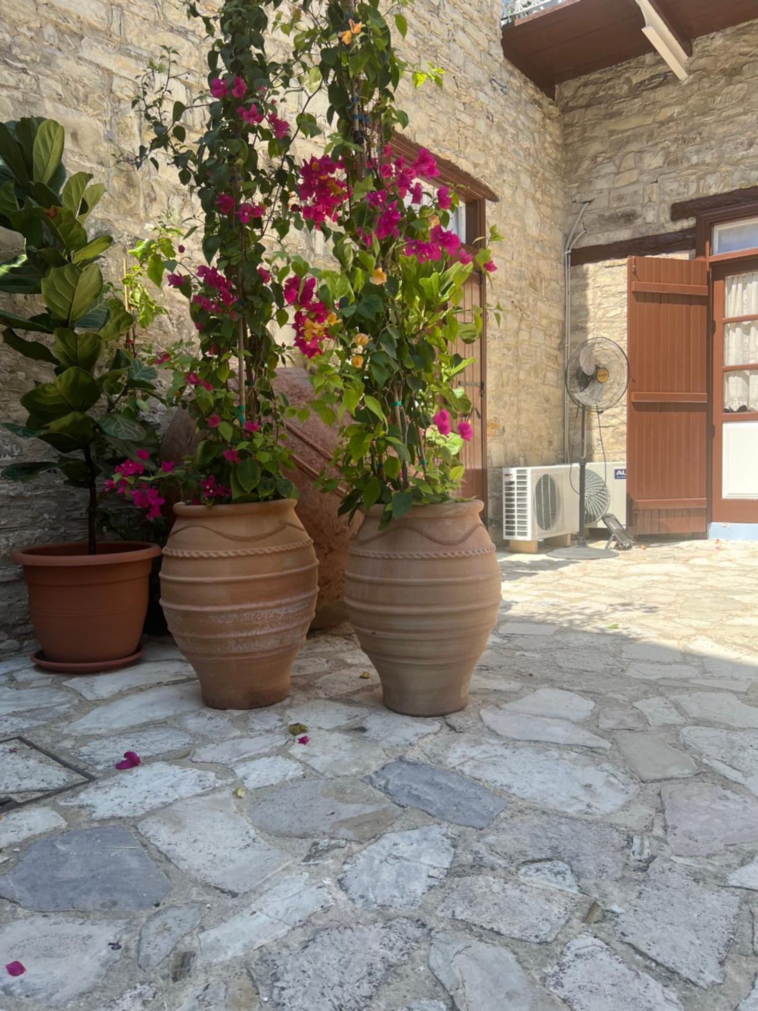Villa Theodorou Lefkara Dış mekan fotoğraf