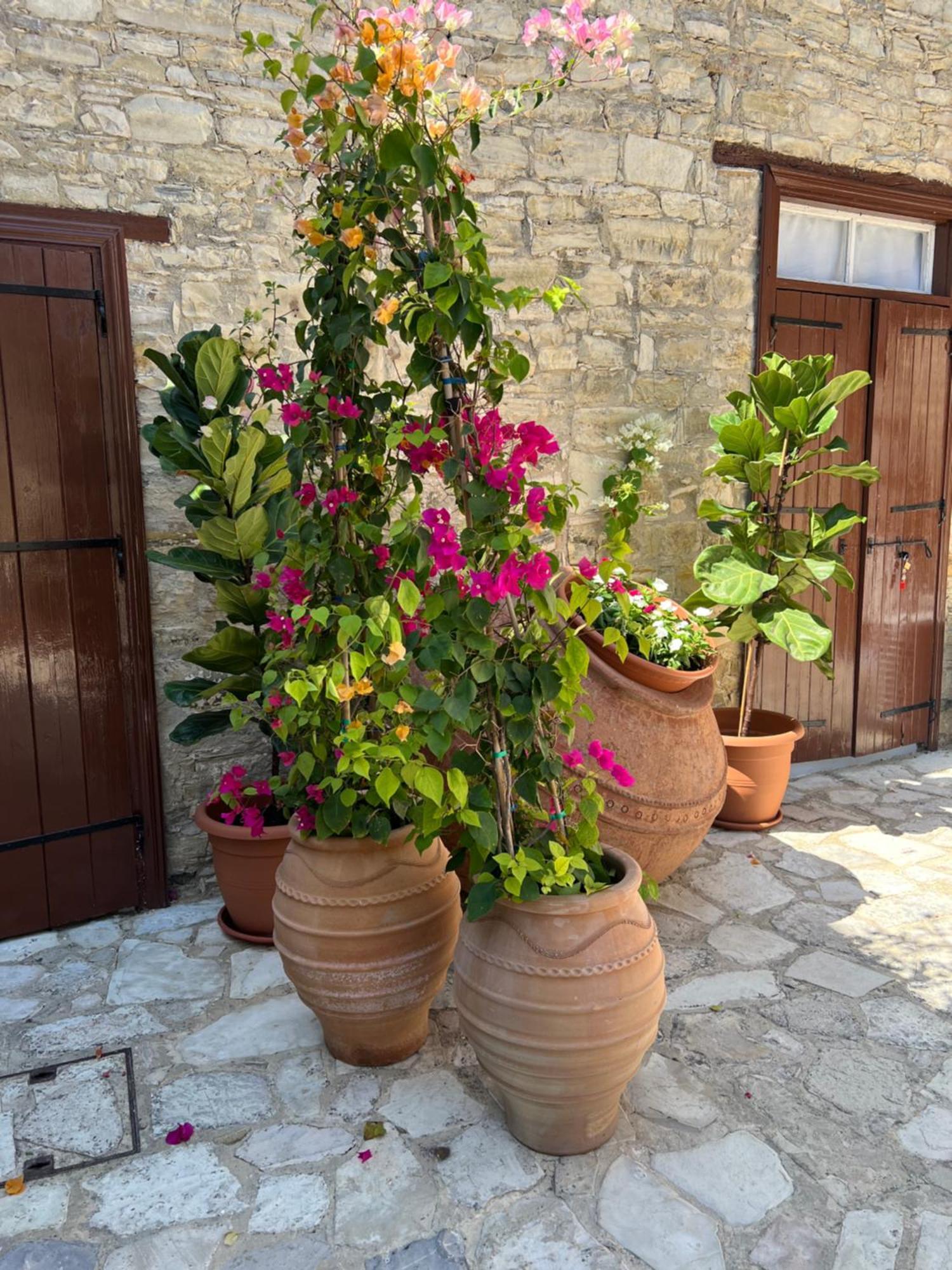 Villa Theodorou Lefkara Dış mekan fotoğraf